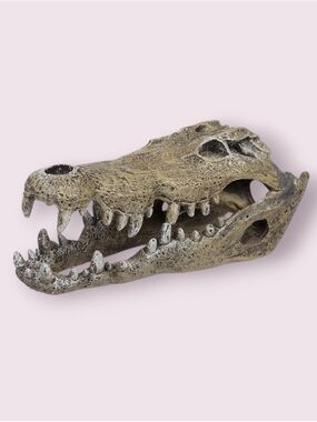 Imagitarium Nile Crocodile Skull, Small